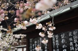 日本出臺(tái)新規(guī)：限制加密貨幣保證金交易杠桿率