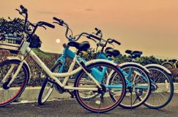 共享單車，或許是中國(guó)創(chuàng)業(yè)史上最瘋狂的試錯(cuò)